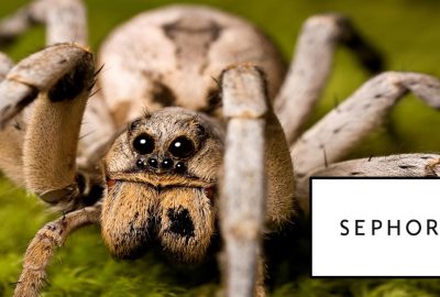 Does Sephora Body Butter Attract Spiders? Unveiling the Truth